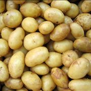Yellow Potato Vegetable