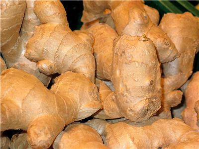 Ginger History - Origin and Traditional Uses of Ginger